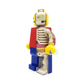 Didelis 4d Plytų Žmogus Žmogaus Skaidrus Perspektyvos, Anatomijos Skeleto Kaulų Modelis Įspūdį Susirinkusiems Medicinos Žaislas