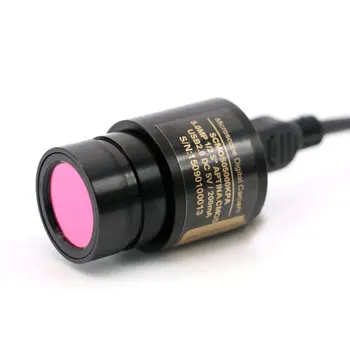 NAUJAS ATVYKIMO 5MP USB Vaizdo CCD Kamera Biologinių Stereo Mikroskopas su Vaizdo Fiksavimo pramonės Elektroninių Okuliarą su 2 adapteris