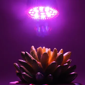 Augalų Led Grow Light E14, E27, GU10/ Phytolight UV SPINDULIŲ PhytoLamp Kambarinių Gėlių, Daržovių Sėklos, Augalų Palapinė Šiltnamio efektą sukeliančių Hydroponic
