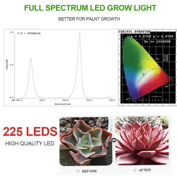 Led Grow Light Visą Spektrą 1000W Augti Palapinė Kambarinių Augalų UV Augalų Lempos Led Akvariumo Apšvietimo Hydroponic Fitolampy Fito Lempos