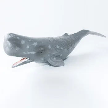 CollectA Laukinės Gamtos Gyvūnų, Jūros, Vandenyno Kašaloto Plastiko Žaislas Modelio Švietimo #88835