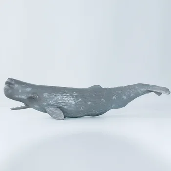 CollectA Laukinės Gamtos Gyvūnų, Jūros, Vandenyno Kašaloto Plastiko Žaislas Modelio Švietimo #88835
