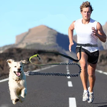 Elastinga Juosmens Šuns Pavadėlio Bėgioti, Vaikščioti šunelis Produkto Reguliuojamas Nailono Šuns Pavadėlio Su šviesą Atspindinčios Juostelės rankas nemokamai šuo leas
