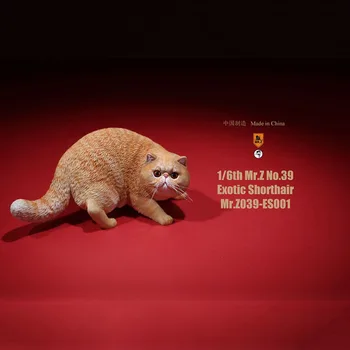 Mr. Z Nr. 039 Cat 1/6 Masto Dervos Egzotinių Beplaukiai katė modelis imitavimo modelį žaislas gyvūnų statinio modelį, 12 