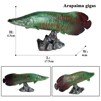 Oenux Modeliavimas Sea Life Gyvūnų, Žuvų Modelis Veiksmų Skaičiai Vandenyno Žuvų Buriažuvė Piranha Karpis Akvariumas Gyvūnų Figūrėlės Vaikų Žaislas