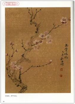 Mokytis Kinų Tapyba Knyga Xie Yi Wintersweet Gėlių Tradicinės Kinų Tapybos Įgūdžių 48pages 21*28.5 cm