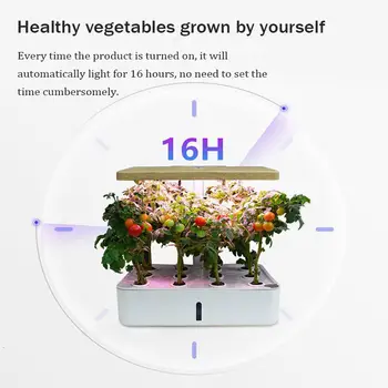 Hydroponic Sodinti Lauke Patalpų Žolė Sodas Rinkinį Smart Led Auginimo Lempos Gėlių, Daržovių Soilless Auginti Augalų Auga Šviesos