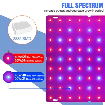 Patalpų Fito Lempa 20W 40W Led Augti Šviesos diodų (LED) Vis Palapinė Visą Spektrą Hydroponics Augalų Sėklos, Gėlių Lampe ES, JAV, UK Plug